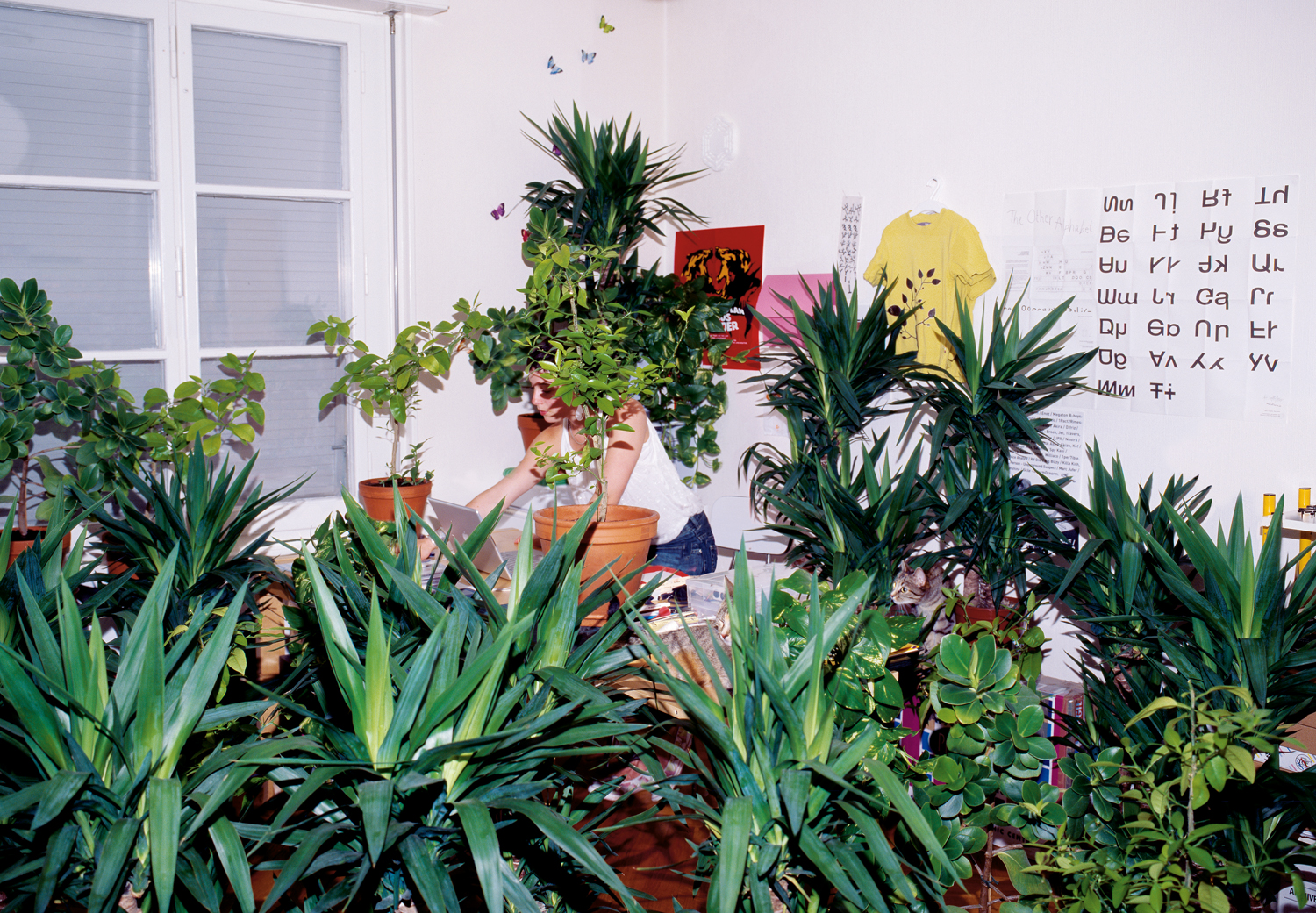 Sibylle Stöckli in ihrem Atelier