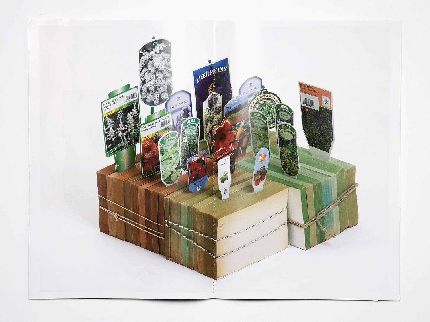 'Mise en pages, Mise en cage'