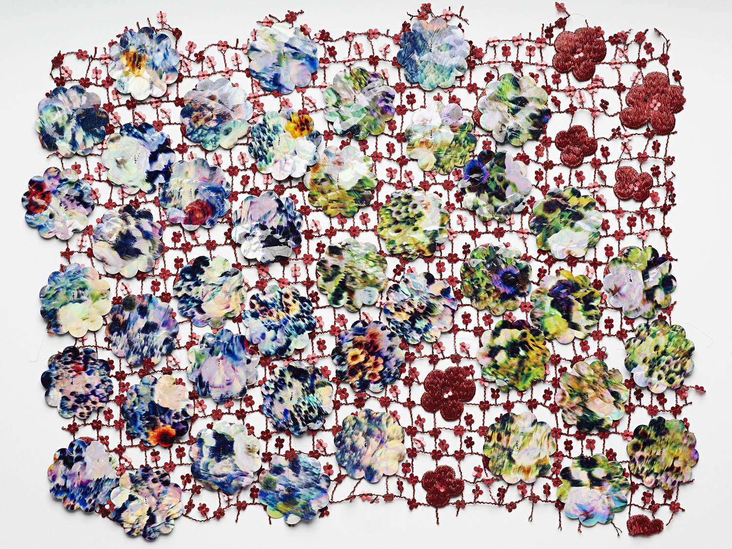 'kanadisches STIEFMÜTTERCHEN'