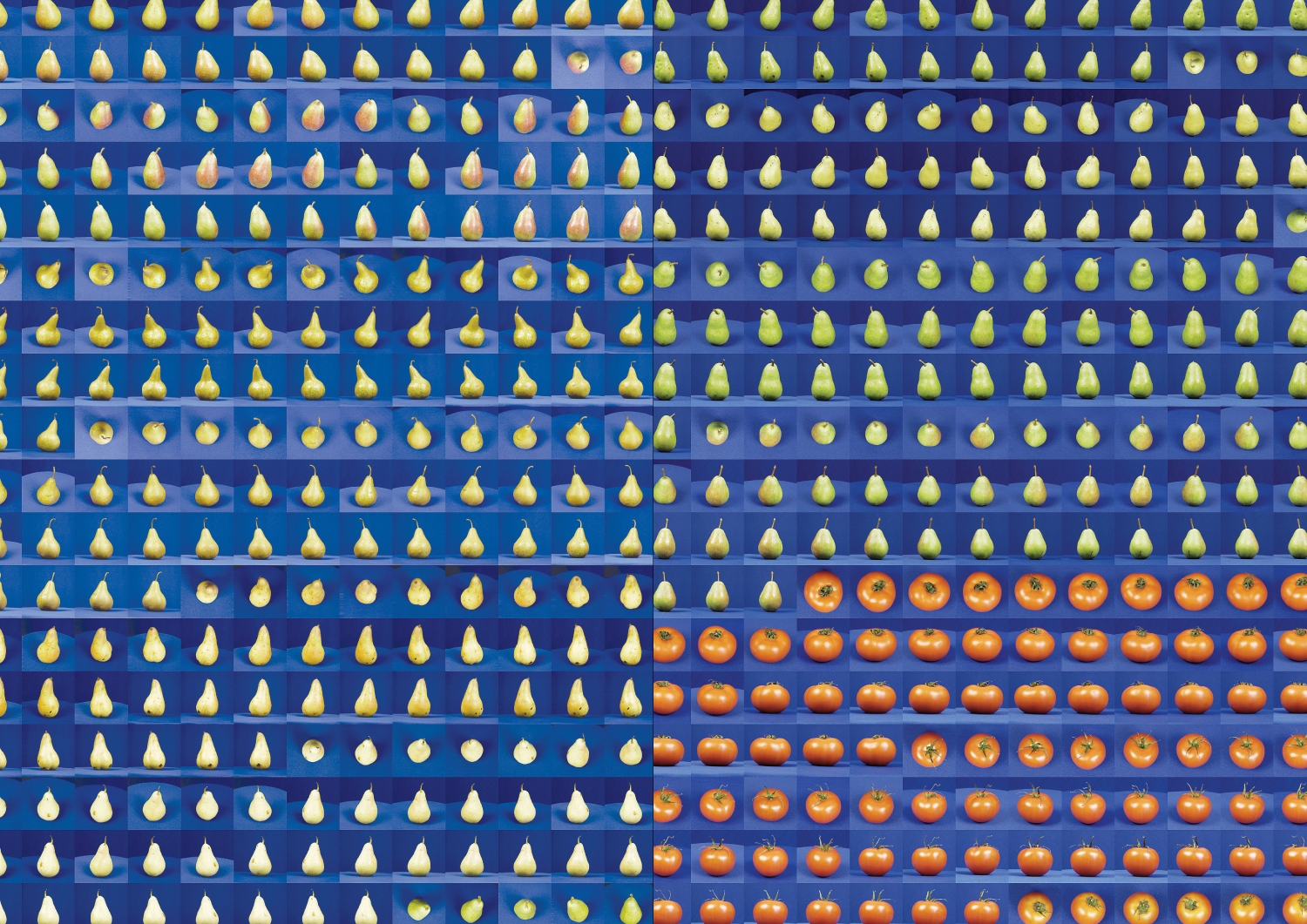 'All the best', Web-Interface, Buch A4, Plakatserie A0, 2009