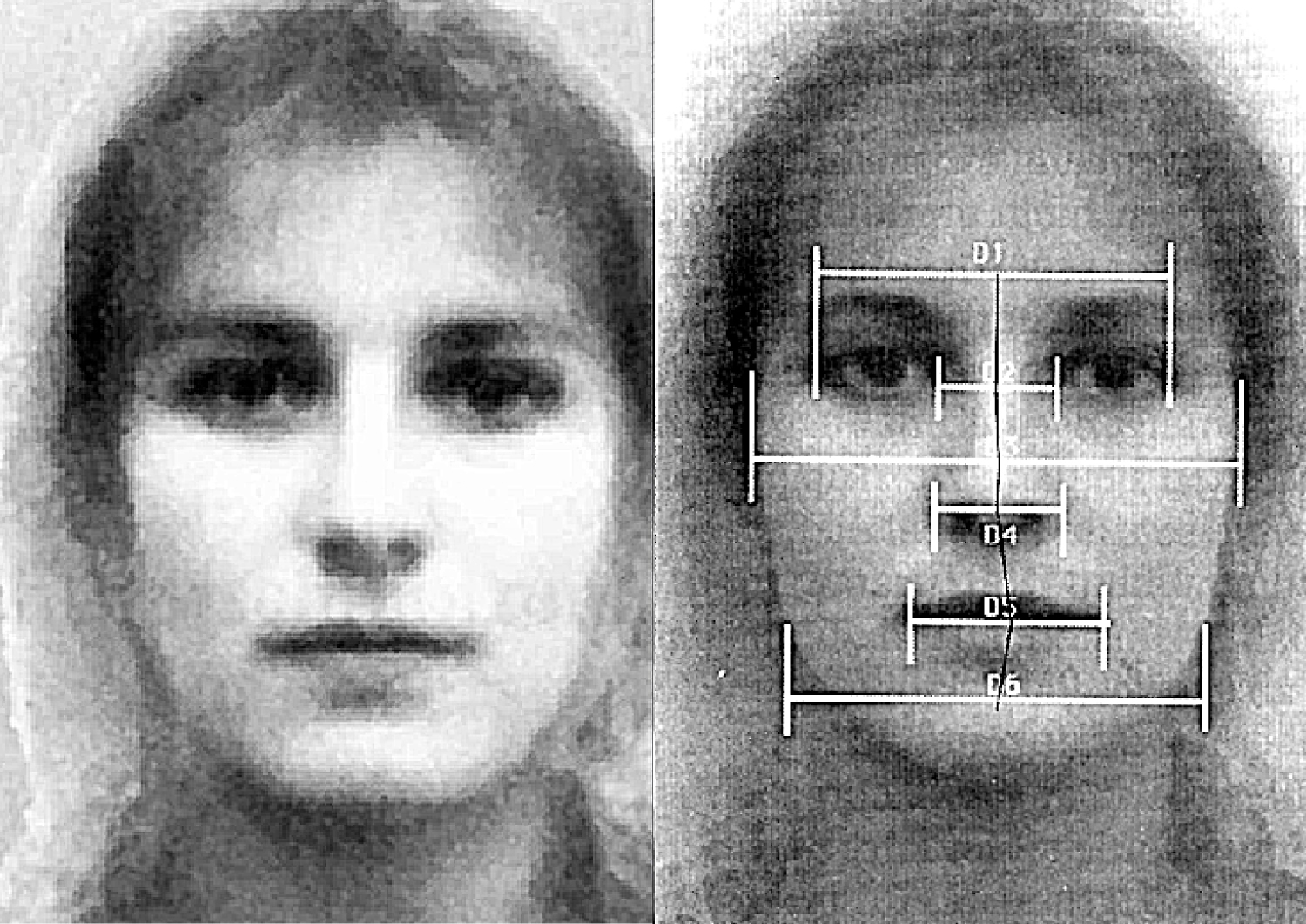 'All the best', Web-Interface, Buch A4, Plakatserie A0, 2009