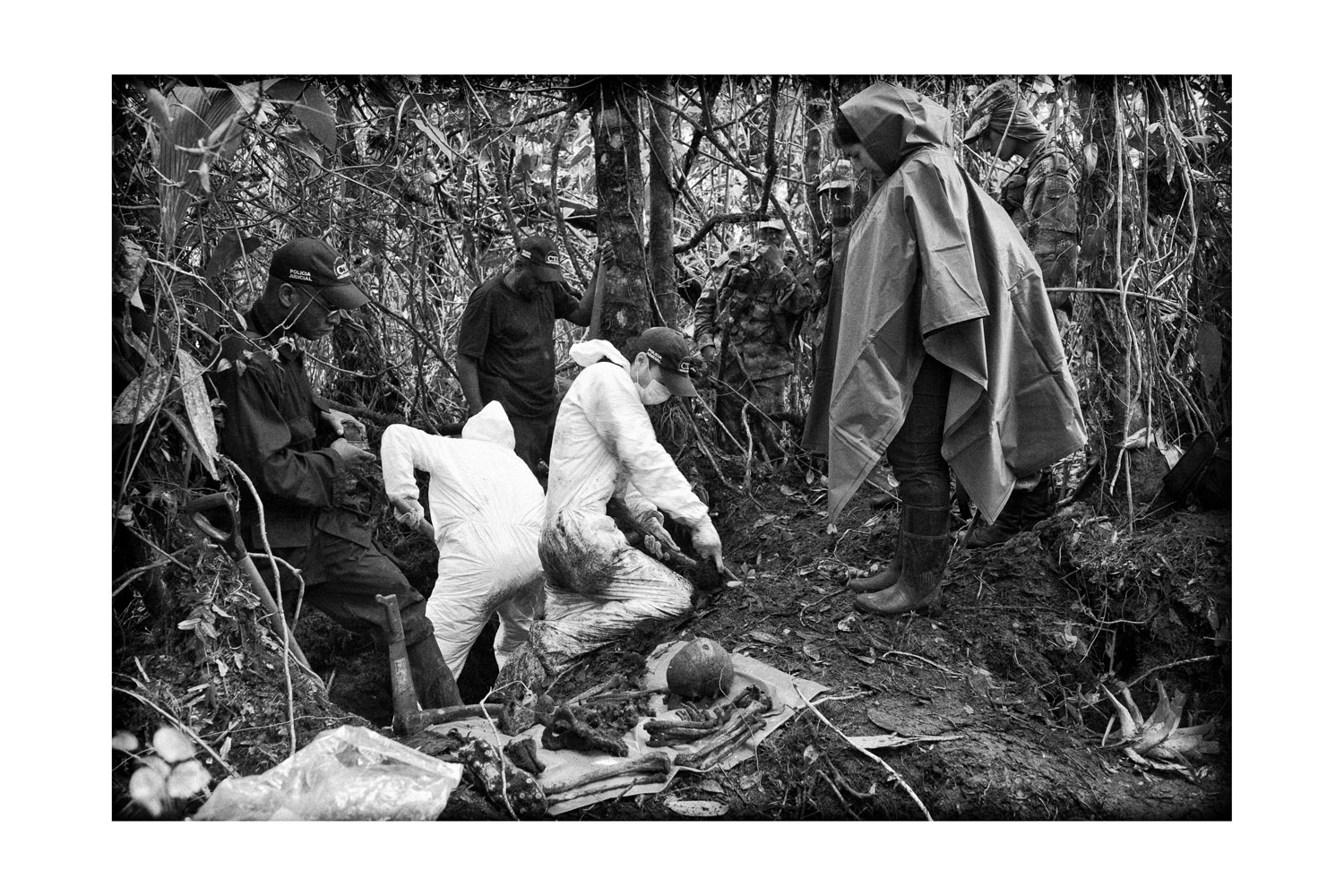 'The Truth needs Allies'