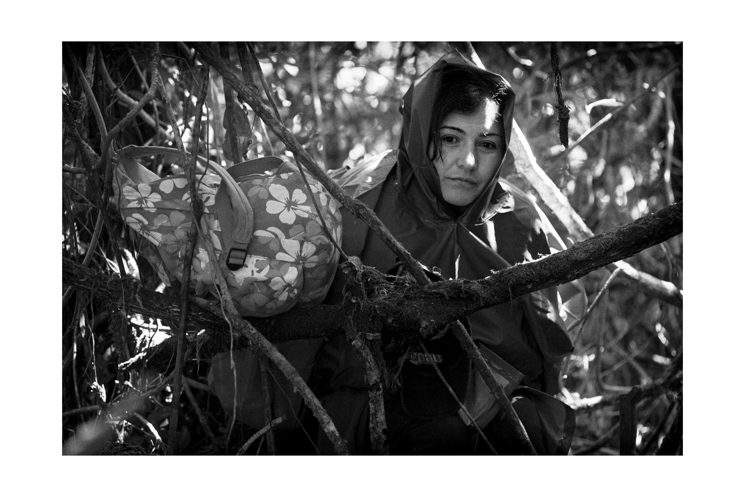 'The Truth needs Allies'