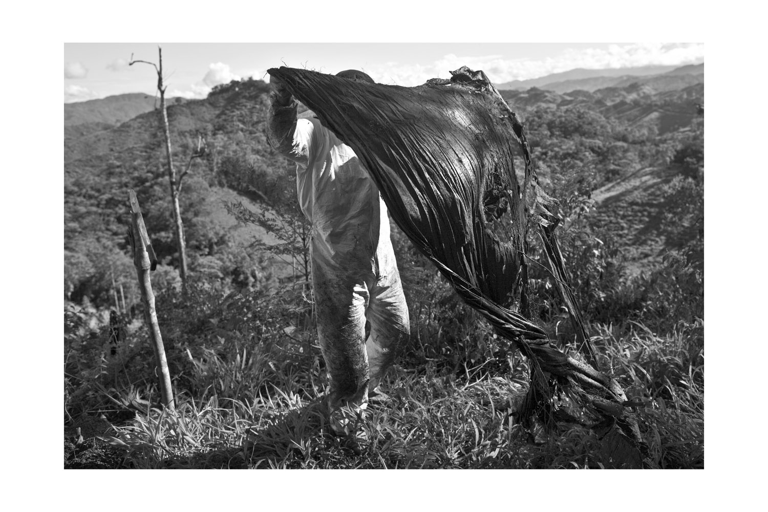 'The Truth needs Allies'