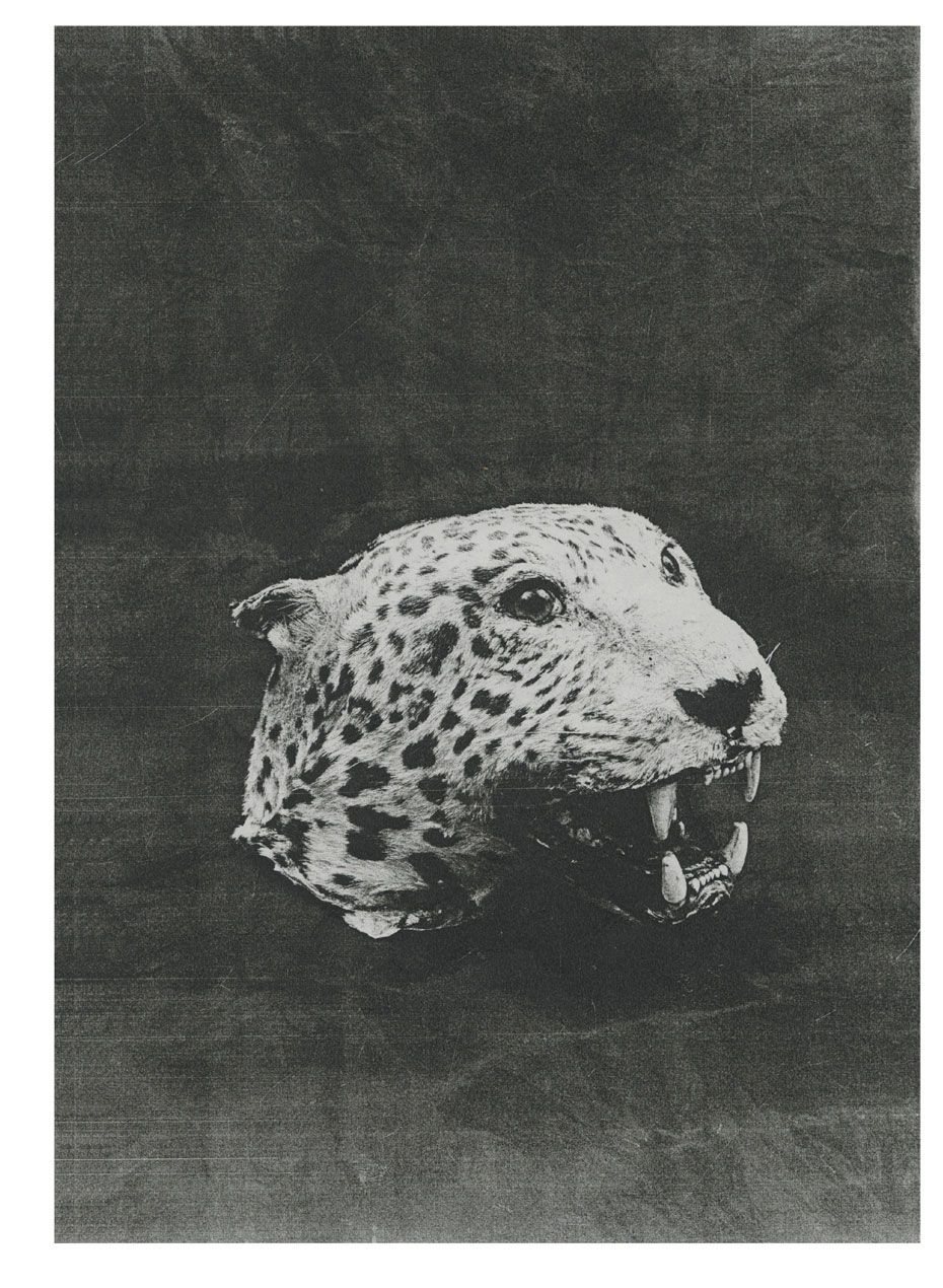 'Artefakte und Modelle'