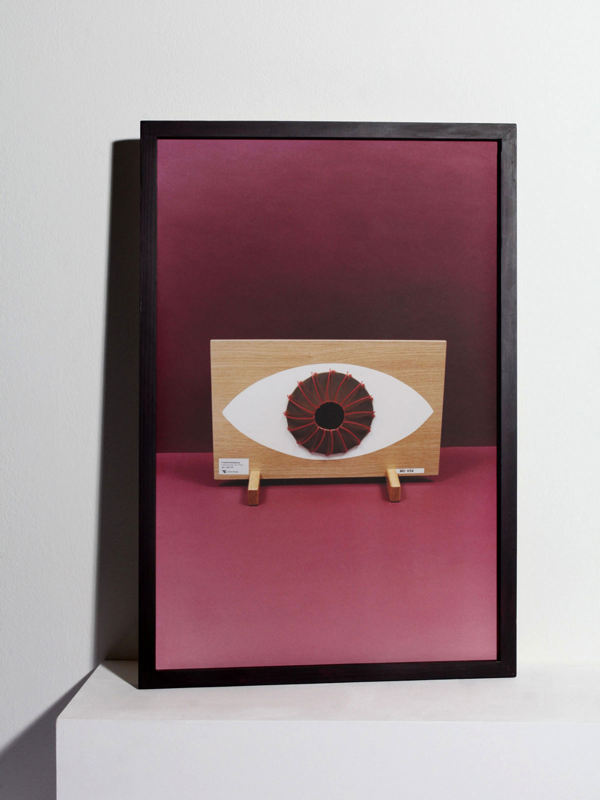 'Artefakte und Modelle'