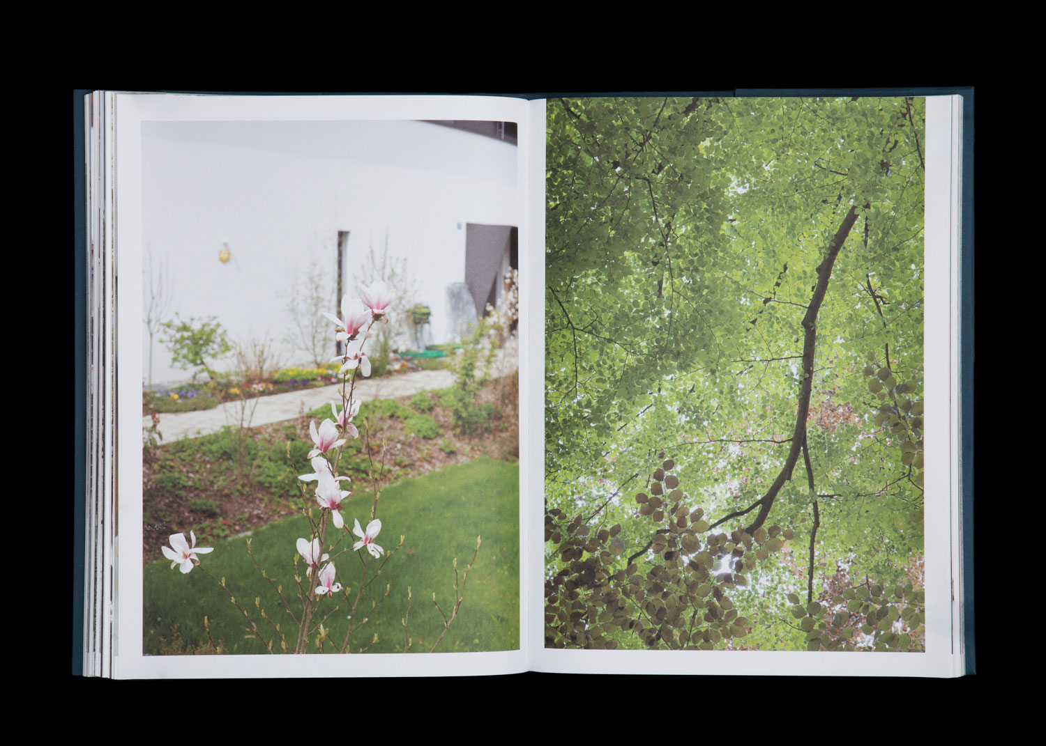 'Cento passi', Fotoserie