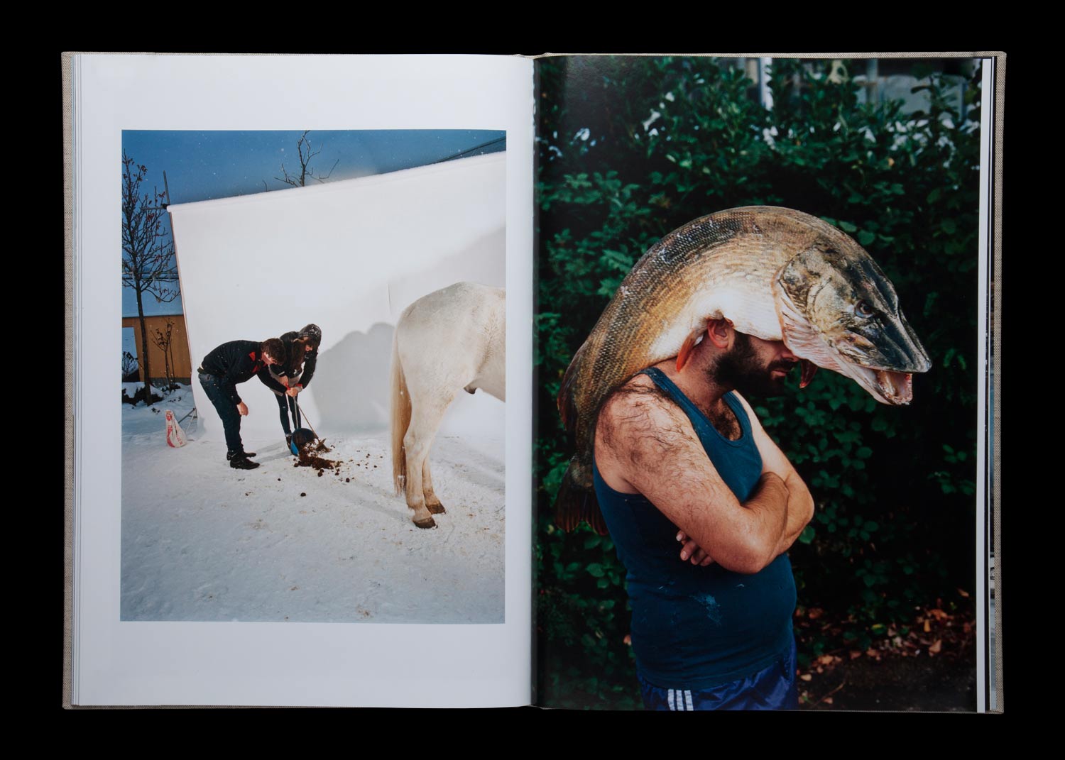 'L', Fotobuch (Edition Dino Simonett)