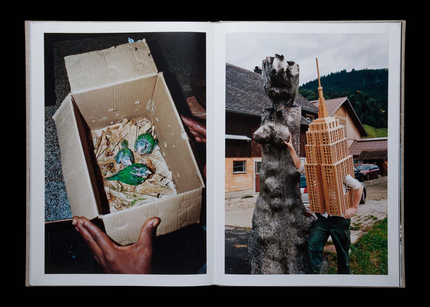 'L', Fotobuch (Edition Dino Simonett)