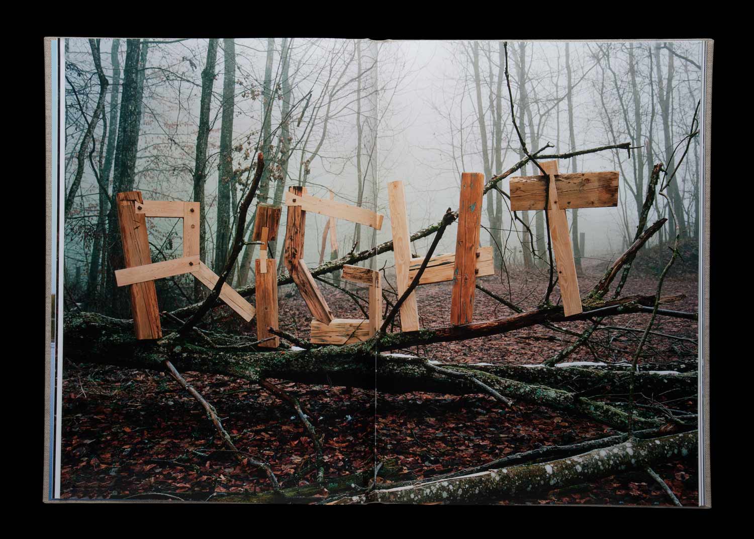 'L', Fotobuch (Edition Dino Simonett)