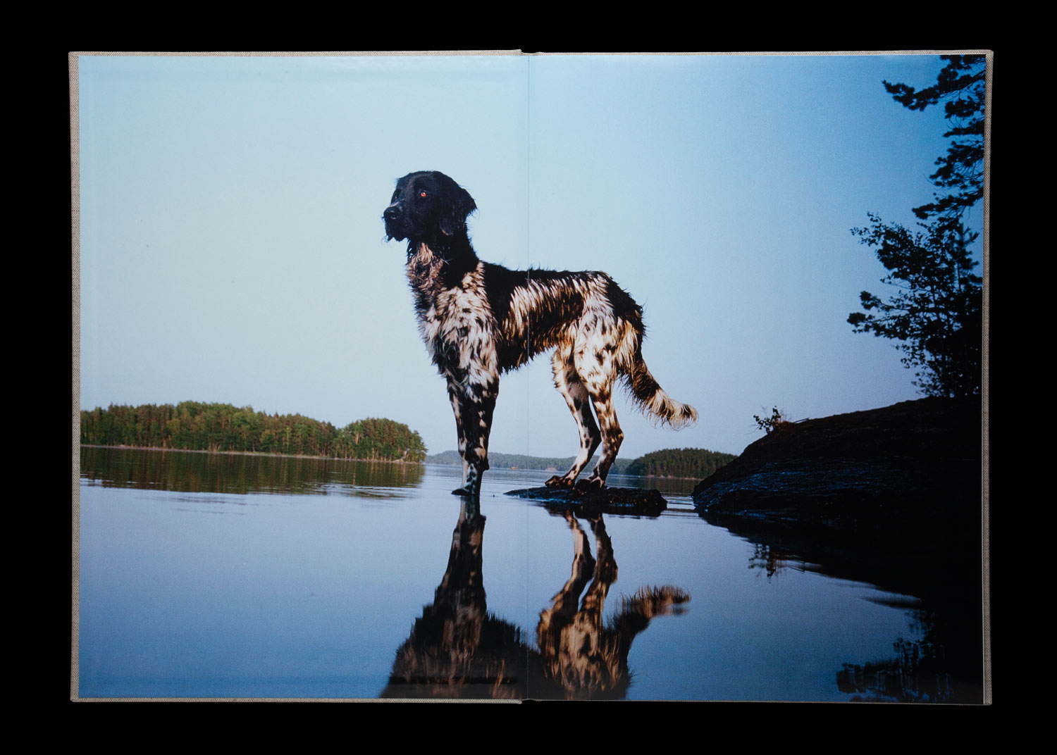 'L', Fotobuch (Edition Dino Simonett)