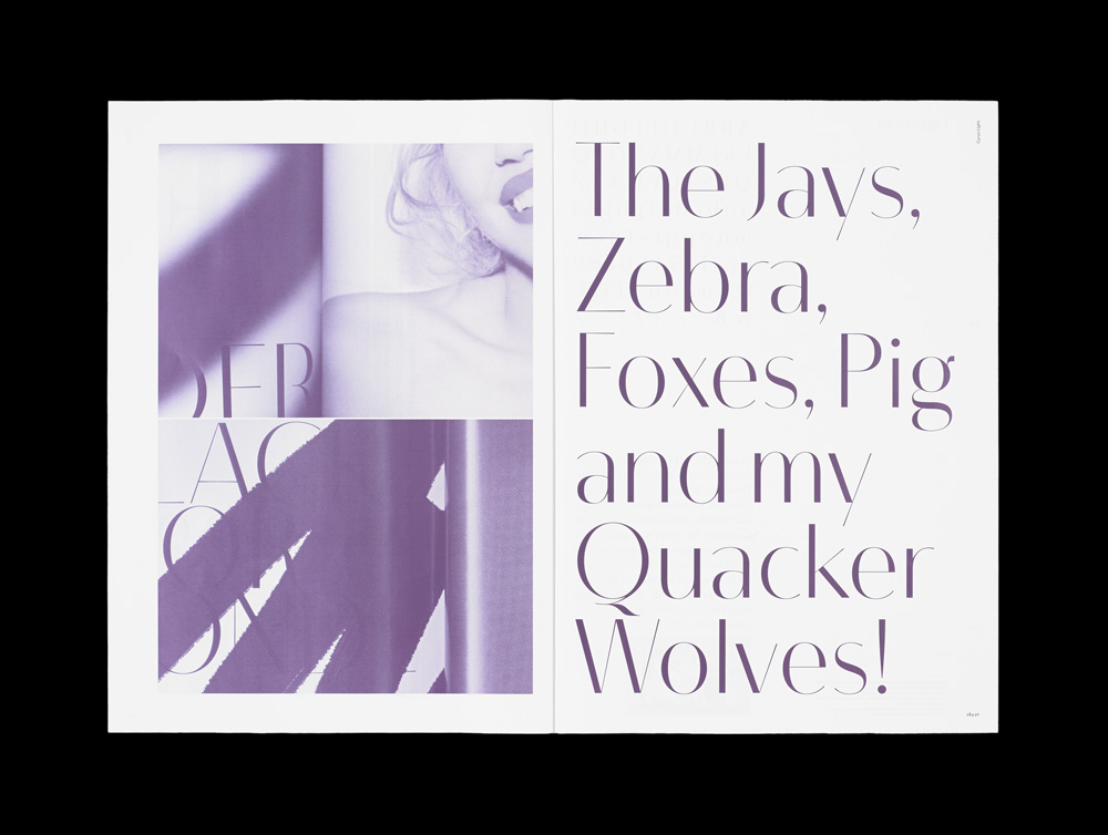 'Alta Demi Display', 'Inter Medium Text', 'Vogue Light Display', Schriften