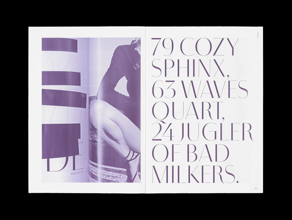 'Alta Demi Display', 'Inter Medium Text', 'Vogue Light Display', Schriften