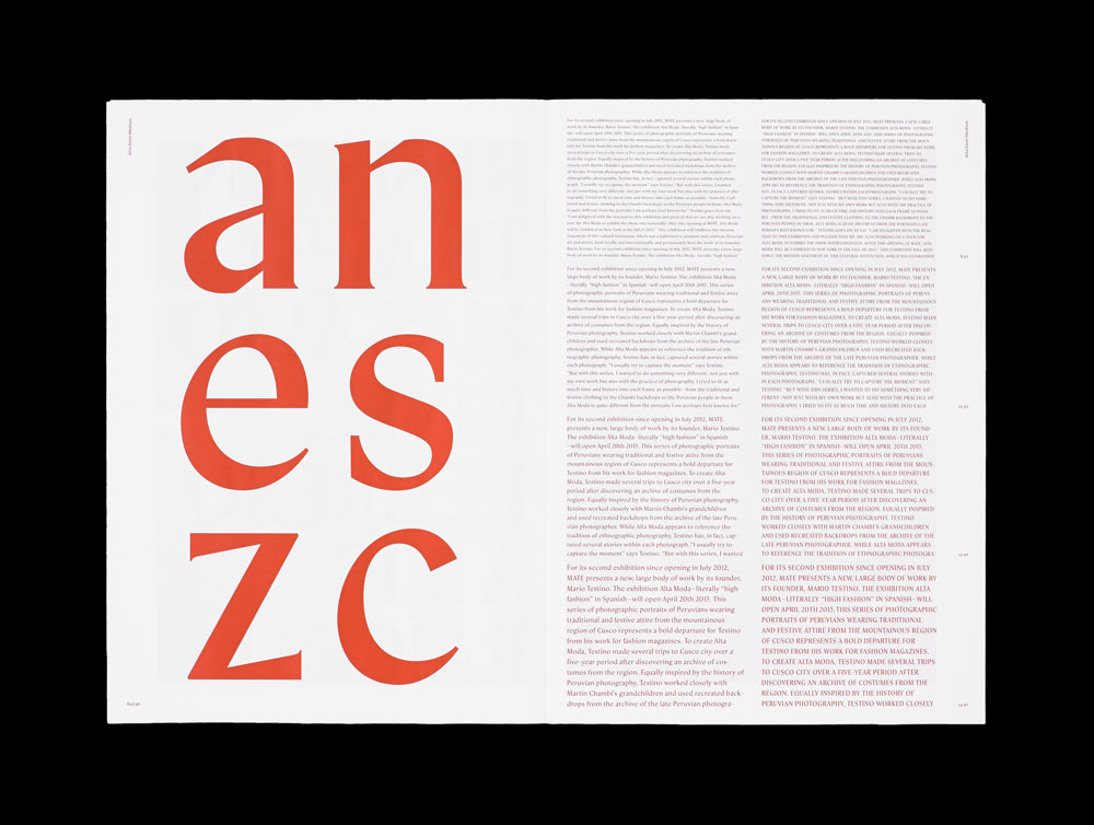 'Alta Demi Display', 'Inter Medium Text', 'Vogue Light Display', Schriften