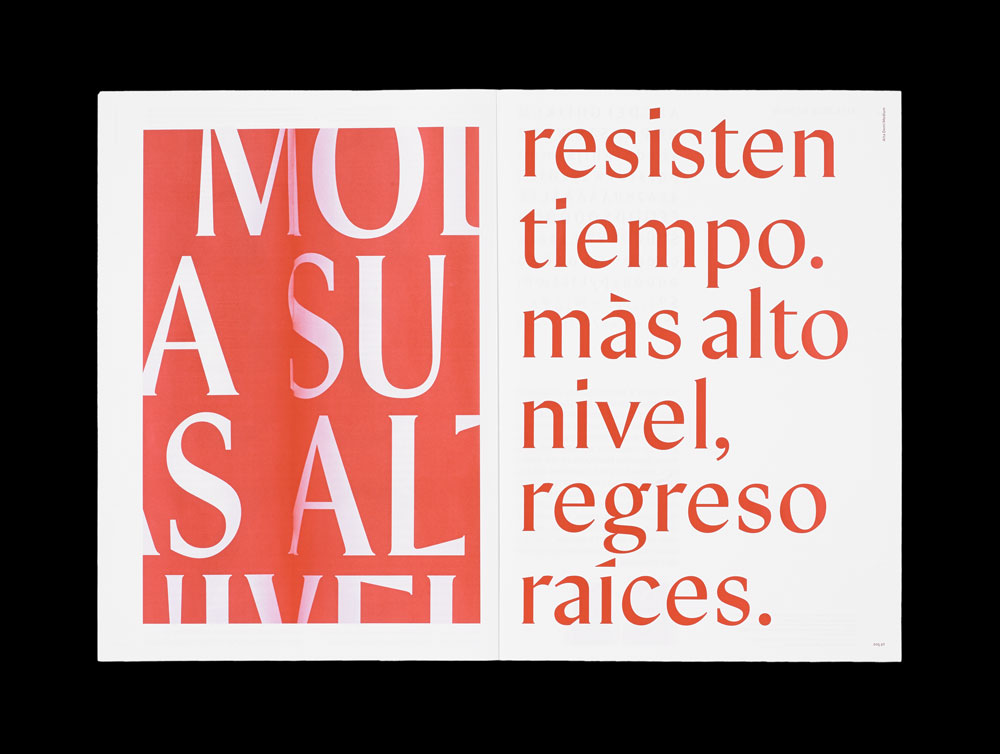 'Alta Demi Display', 'Inter Medium Text', 'Vogue Light Display', Schriften