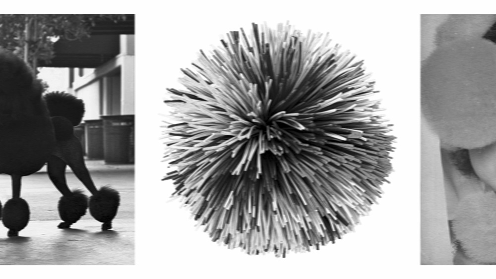 'C’est le pompon', Modekollektion, Diplomarbeit