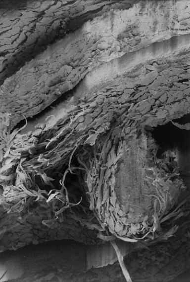 'RAMSDORF 1', Fotobuch und gerahmte Fotografien, Diplomarbeit