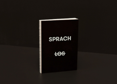 'Sprachlos', Buch, Diplomarbeit