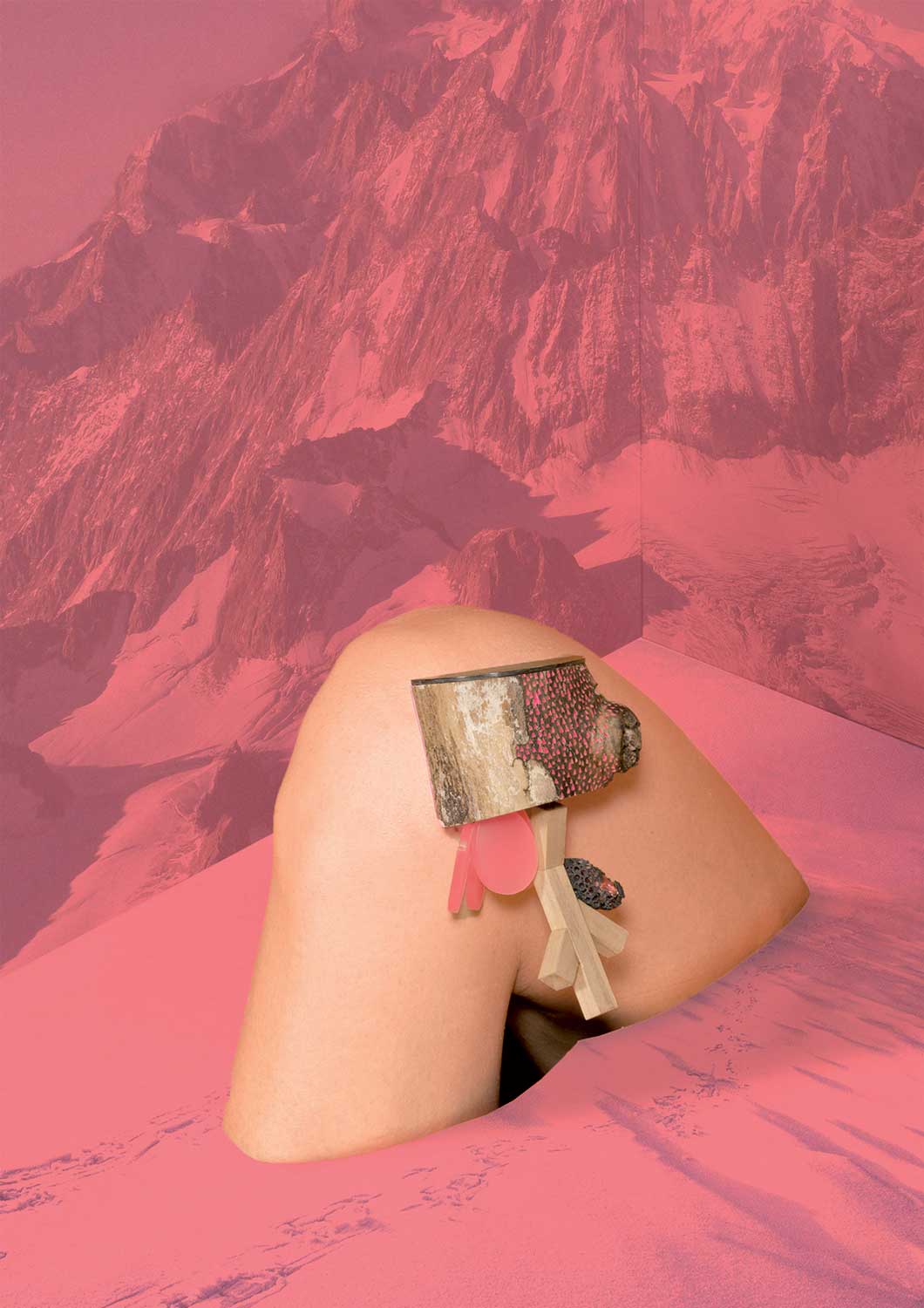 « Blooming Species », eine Schmuckserie