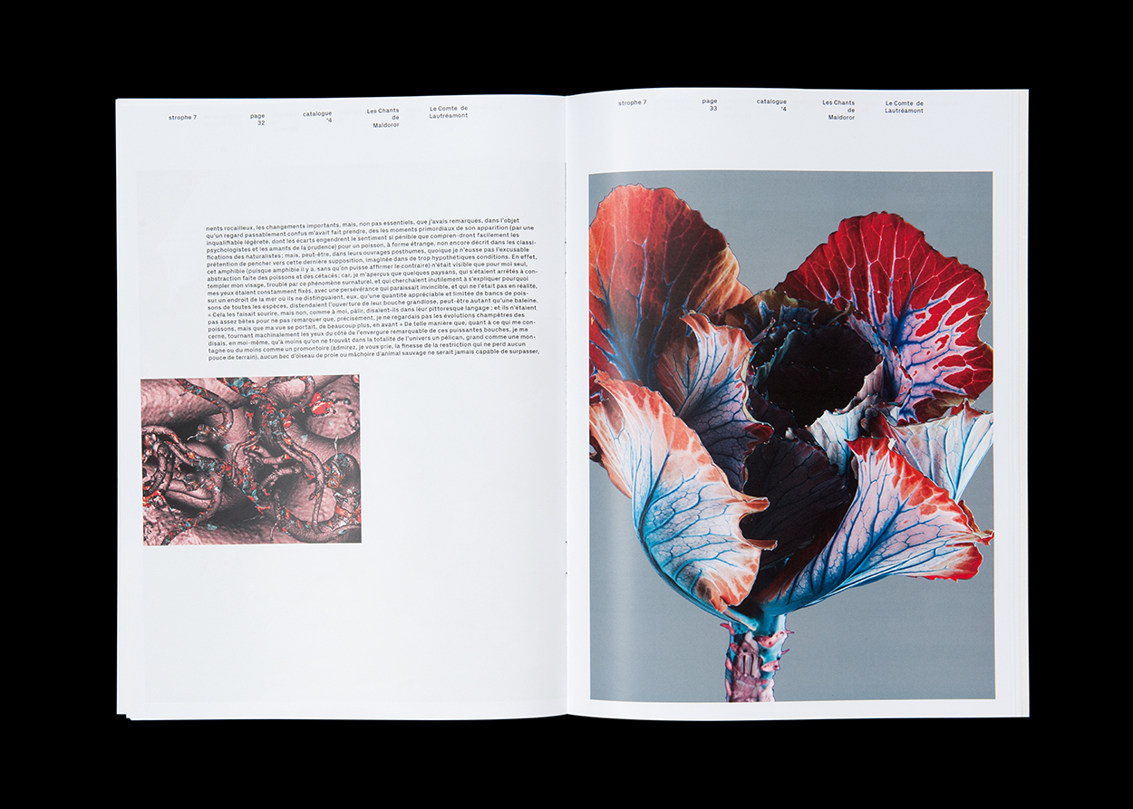 « Maldoror », Fotoserie