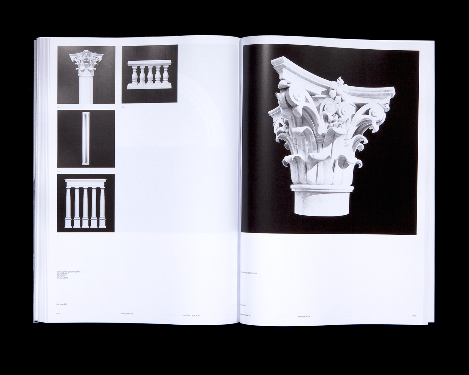 Le livre «Momentum»