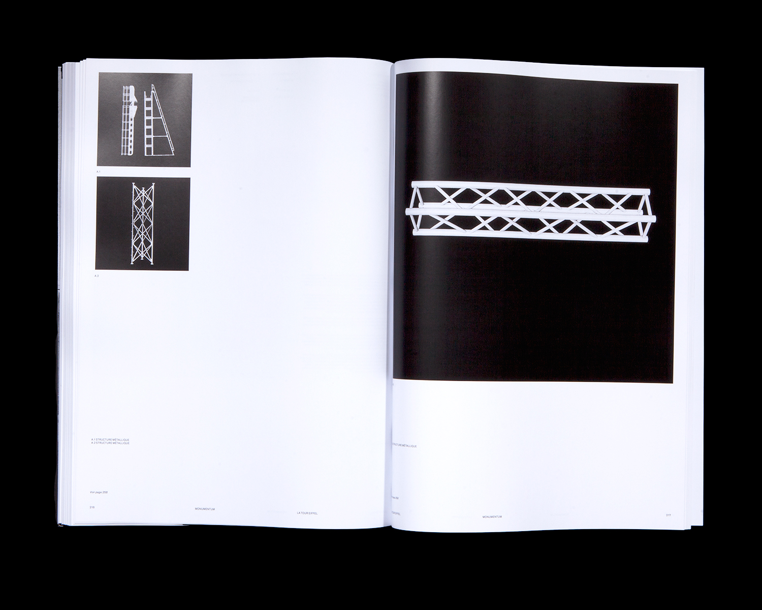 Le livre «Momentum»