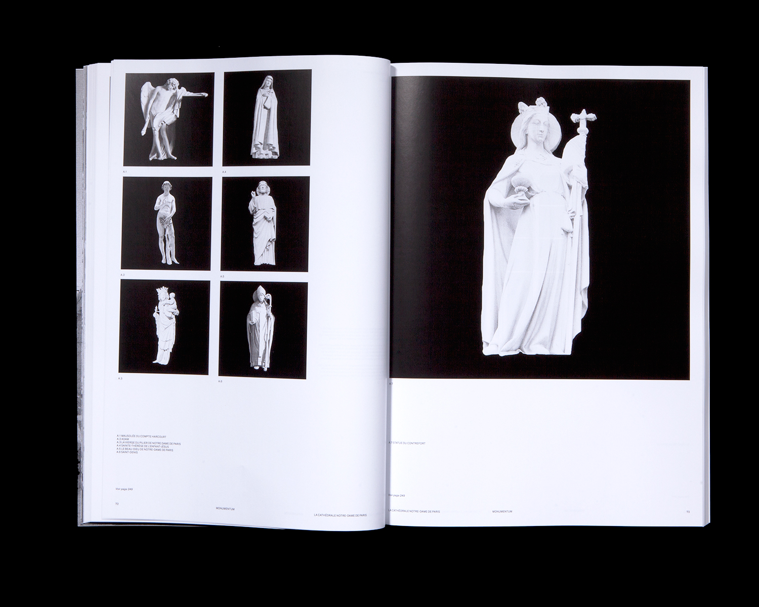 Le livre «Momentum»