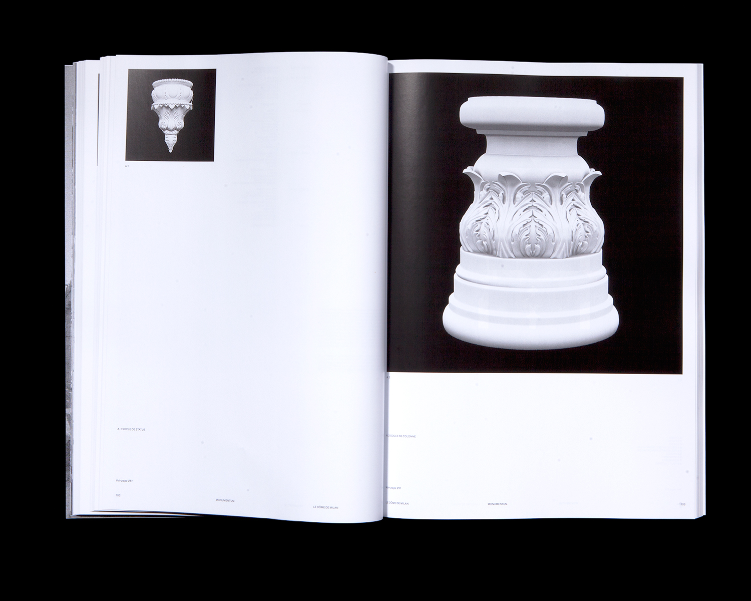 Le livre «Momentum»