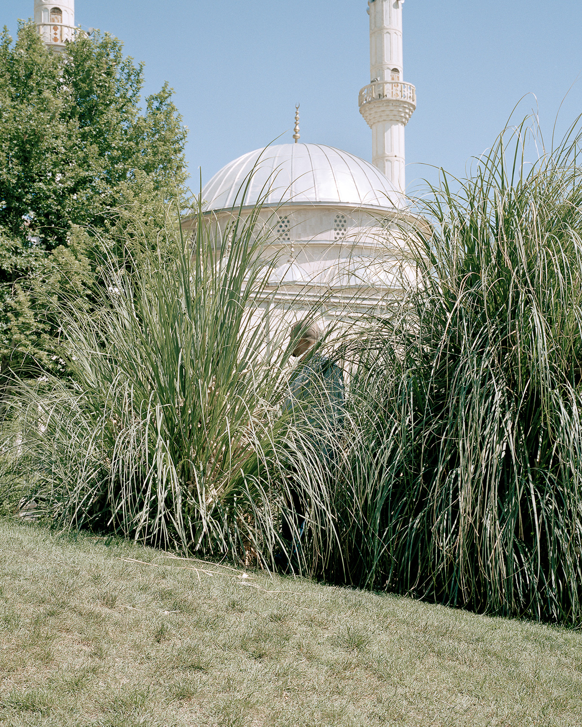 «There are no homosexuals in Iran», un projet photographique