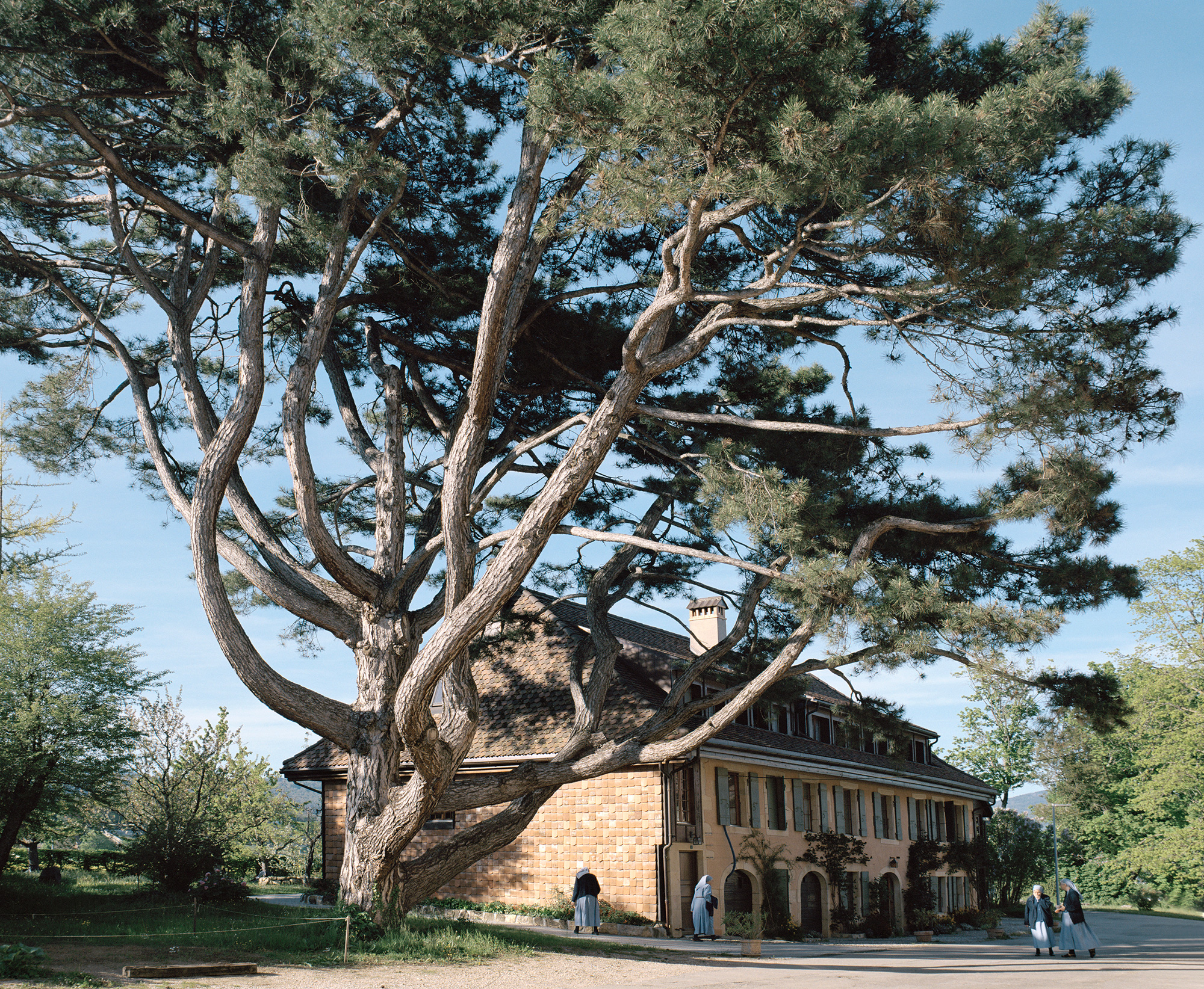 Swiss, Schweizer, Suisses, Svizzeri, 2015-2017