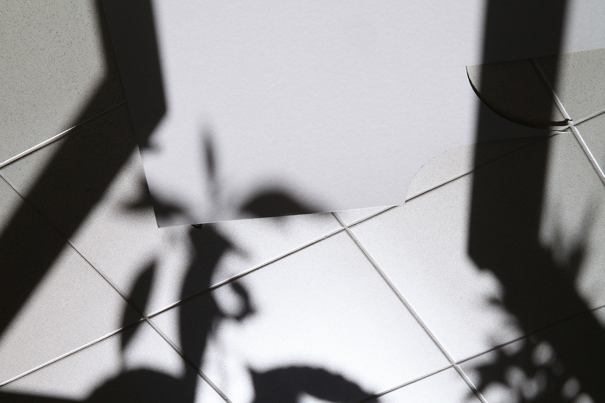 Collection of collateral pictures, 2016-2018