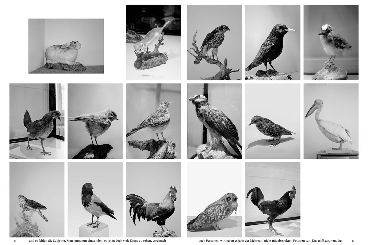 Etwas fehlt, Edition Patrick Frey 2