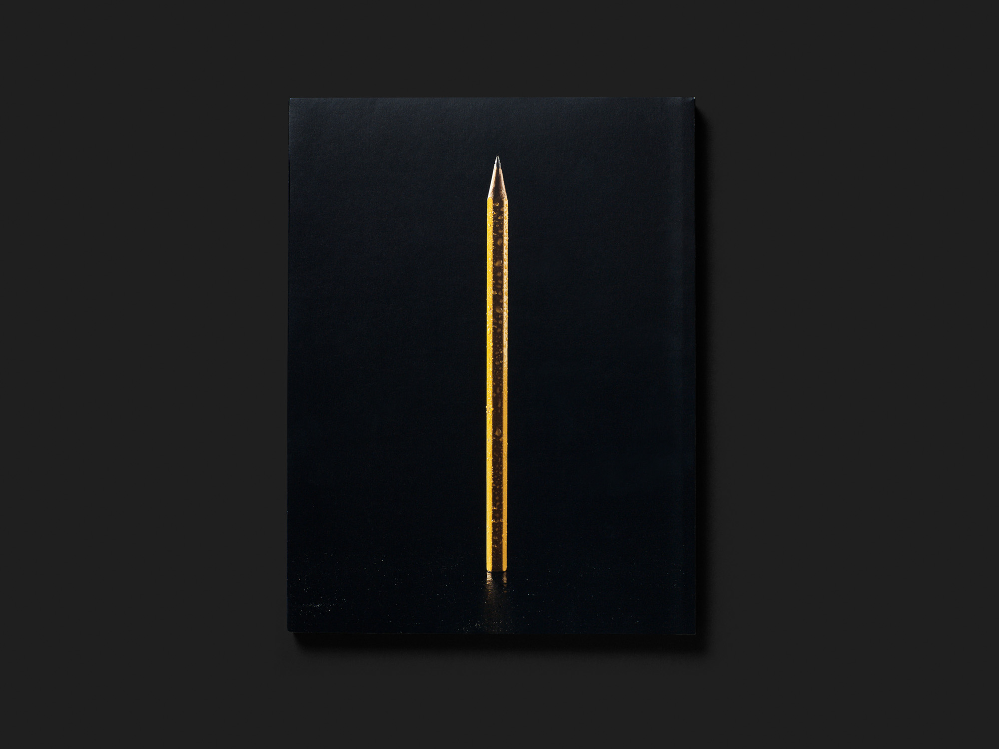 Uta Eisenreich. AS IF