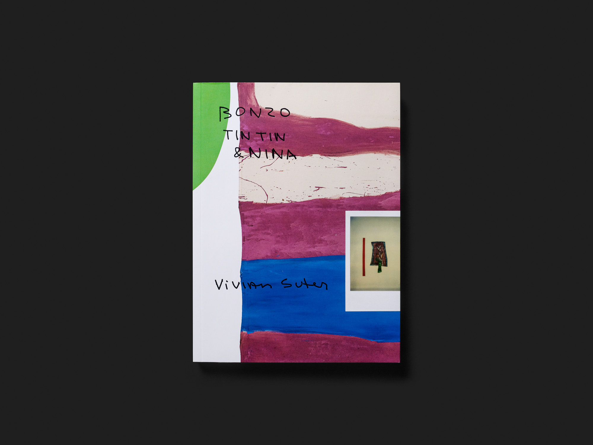 Vivian Suter. Bonzo, Tintin & Nina