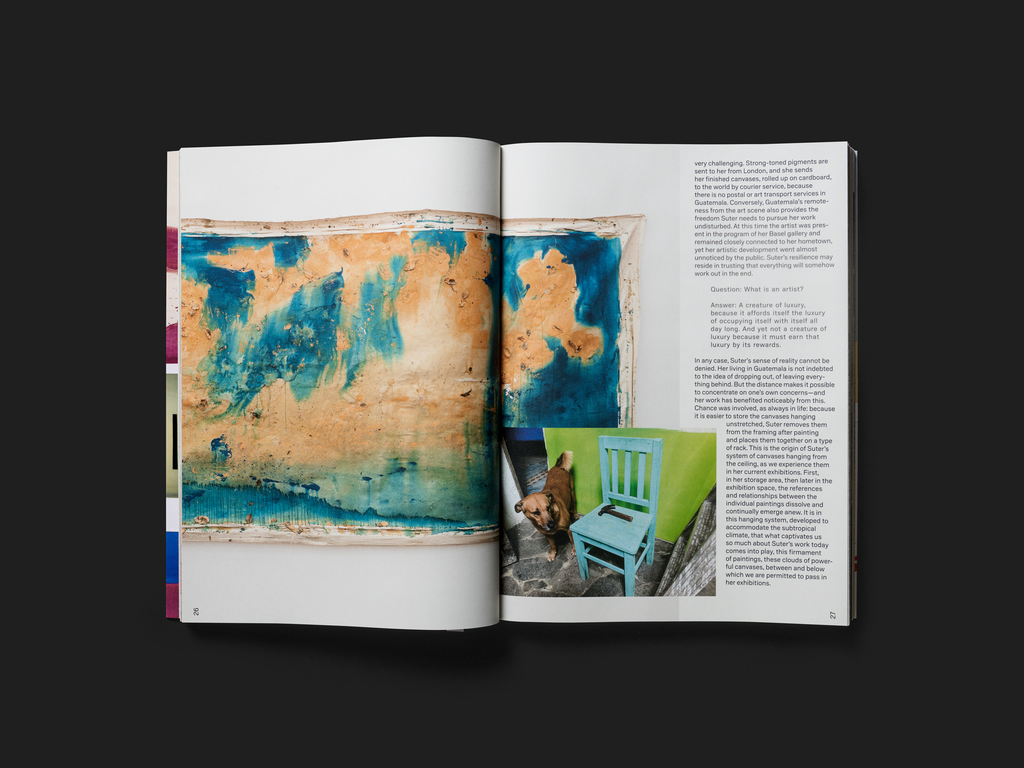 Vivian Suter. Bonzo, Tintin & Nina