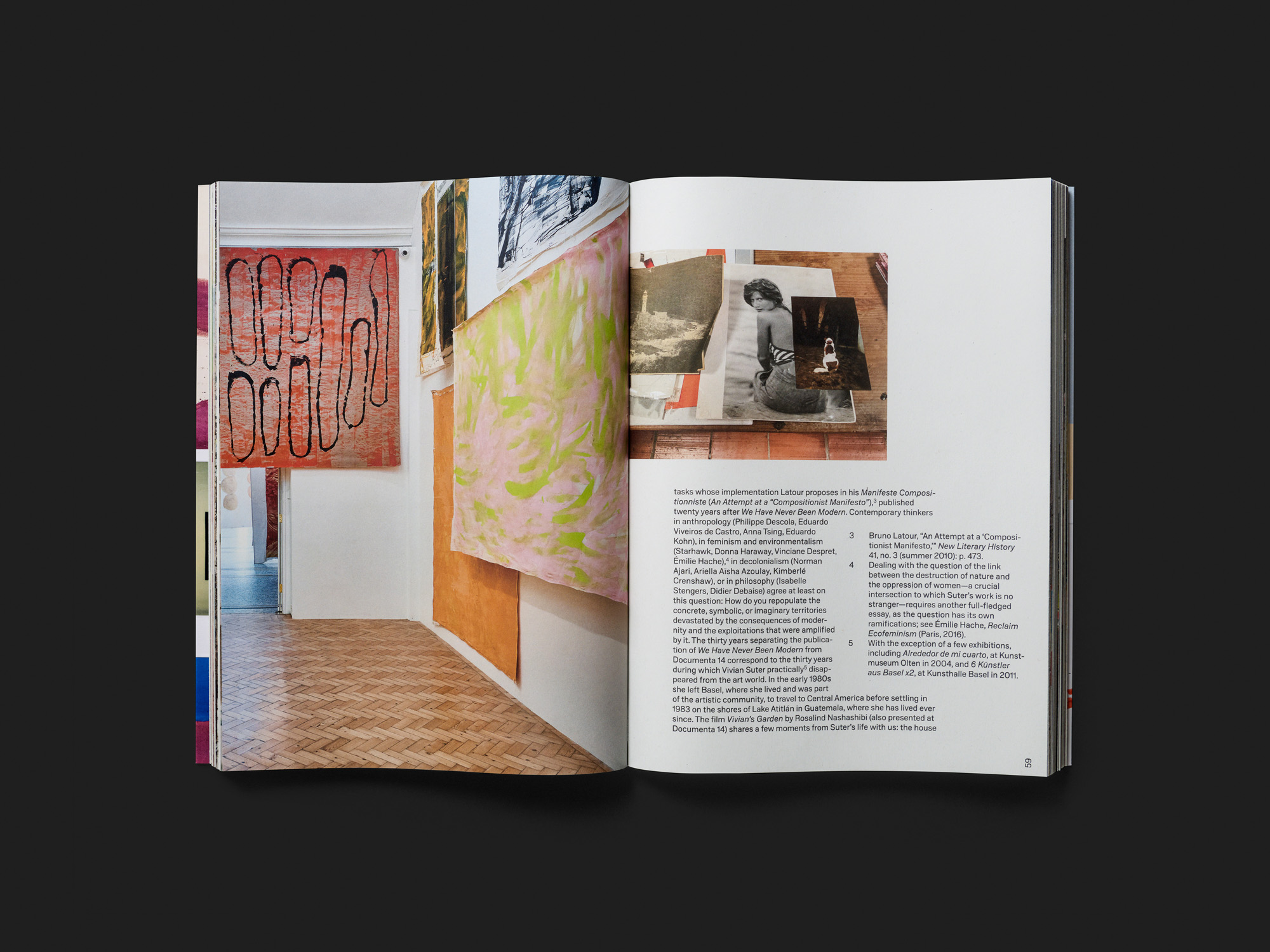 Vivian Suter. Bonzo, Tintin & Nina