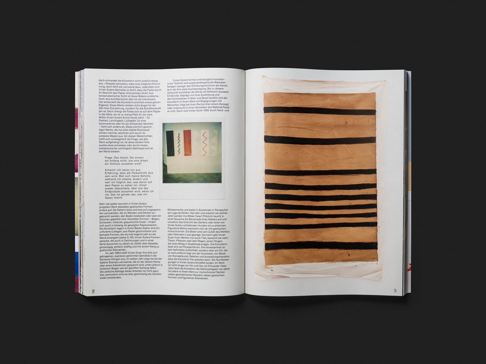 Vivian Suter. Bonzo, Tintin & Nina