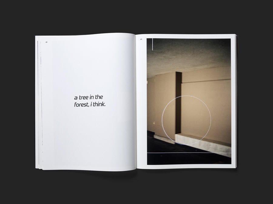 A CLOSE UP OF A LARGE ROCK, I THINK.