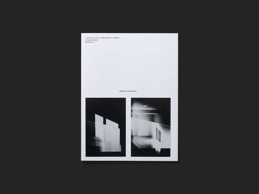 A CLOSE UP OF A LARGE ROCK, I THINK.