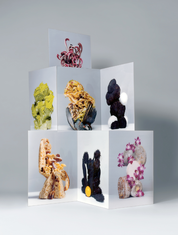 'Menu de Printemps', a series of seven colour photographies