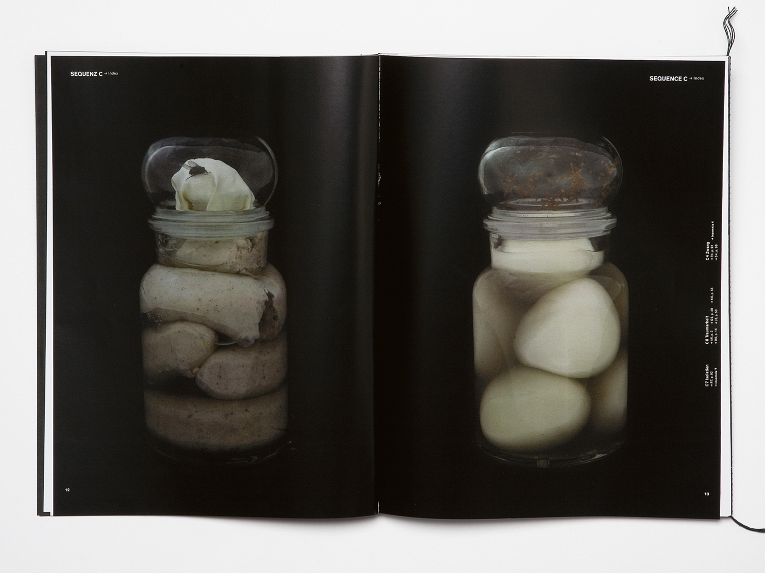 '2ème PEAU, inspiré par Noëmi Wüst'