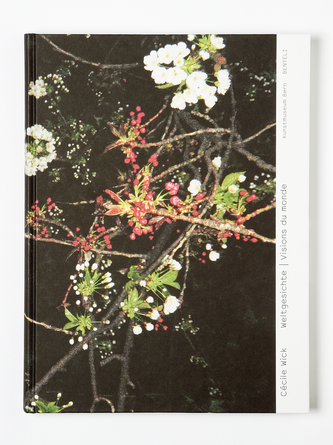 'Cécile Wick - Weltgesichte'