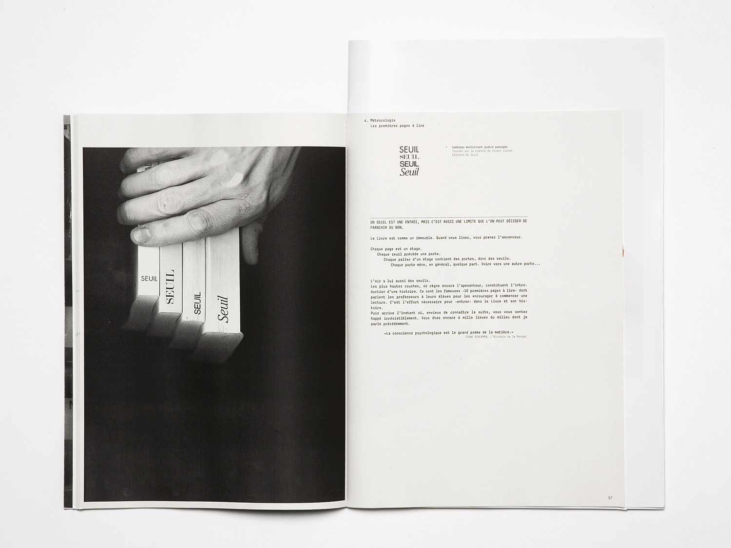 'Mise en pages, Mise en cage'