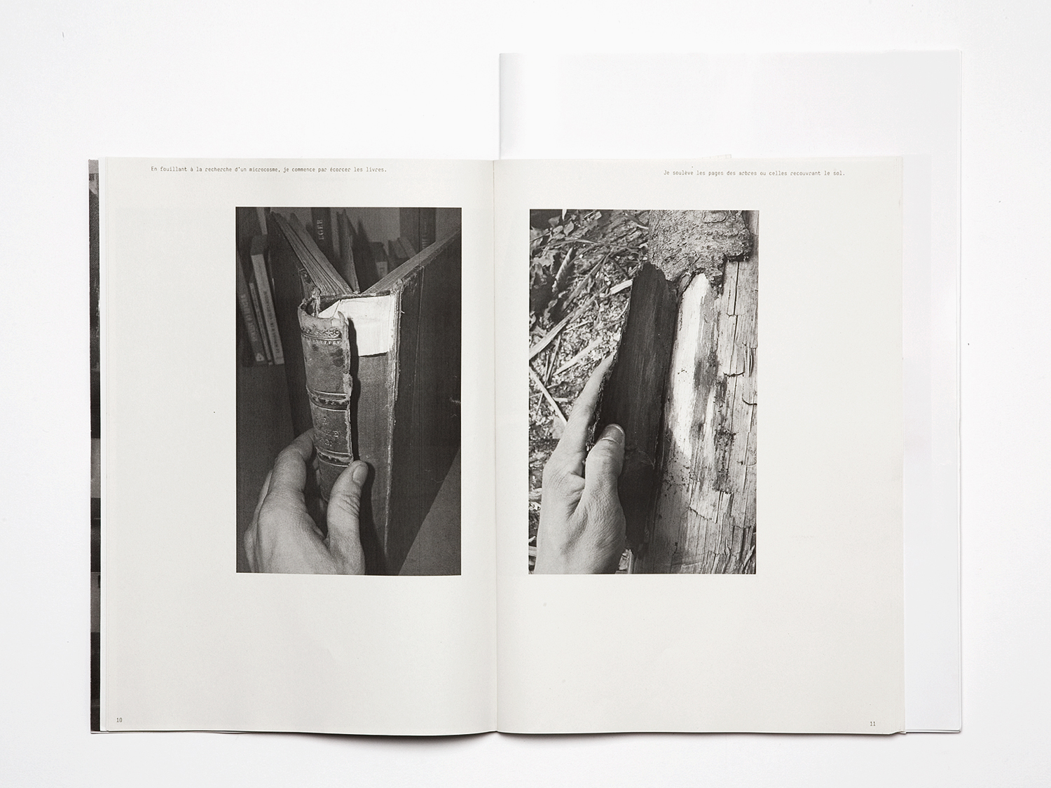 'Mise en pages, Mise en cage'