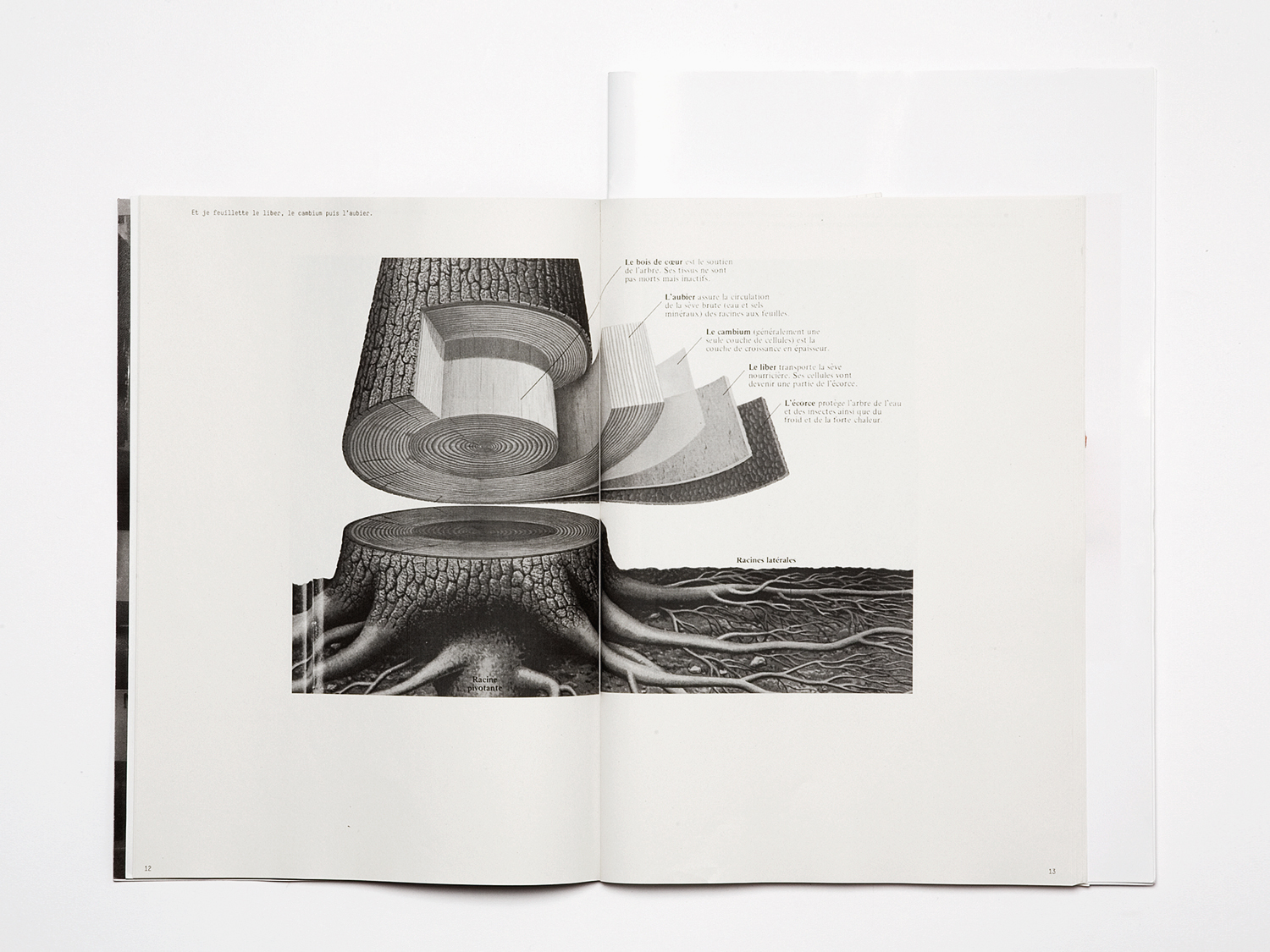 'Mise en pages, Mise en cage'