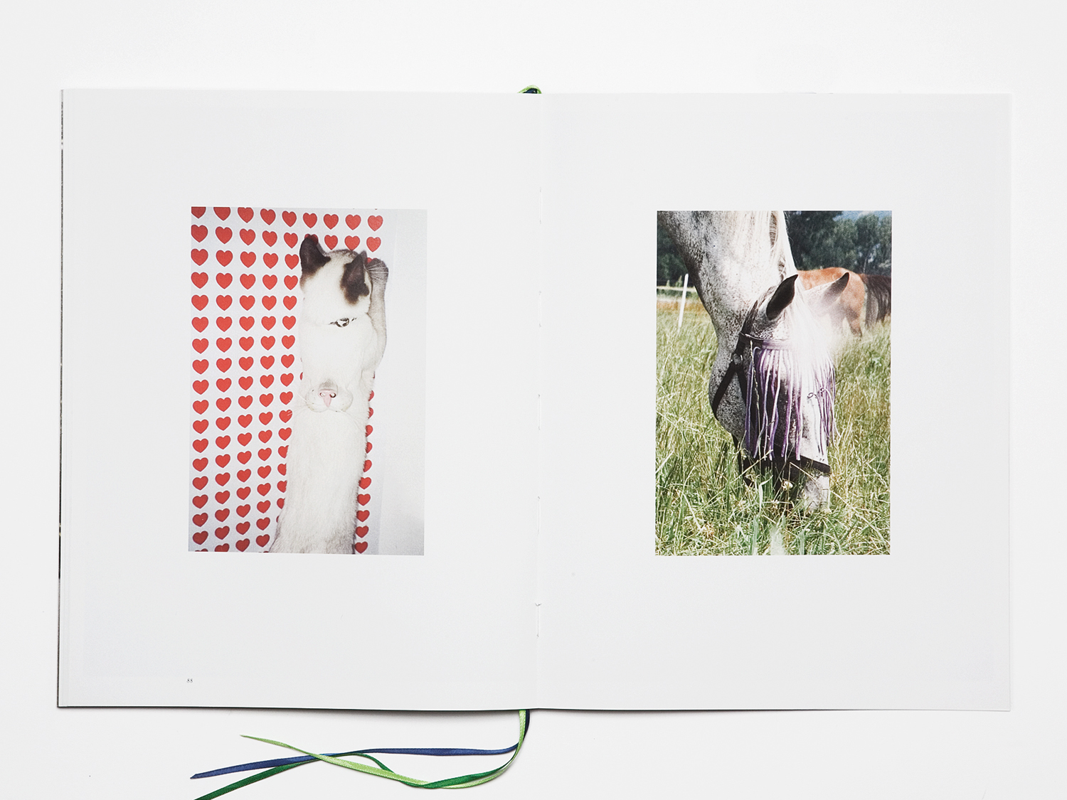 'Falabella, un récit sur la beauté'