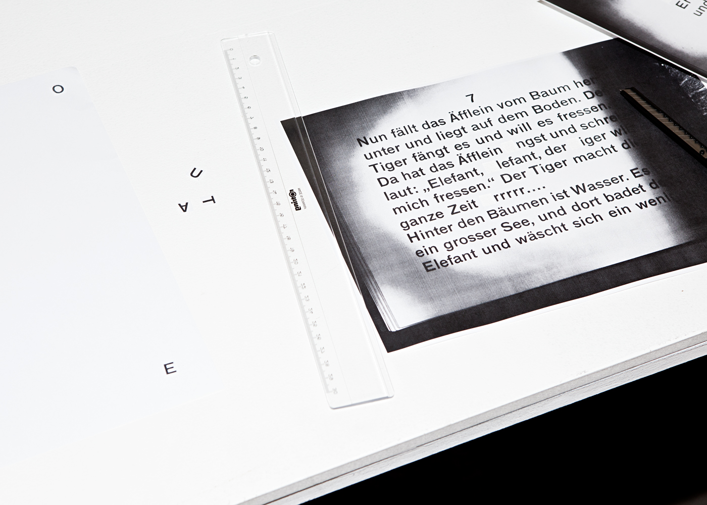 '1946, 1947, 1948 – The missing years of most beautiful Swiss book', Geneva, June 2011 - - in collaboration with Jenny Eneqvist, Corina Neuenschwander and Fredrik Paulsen