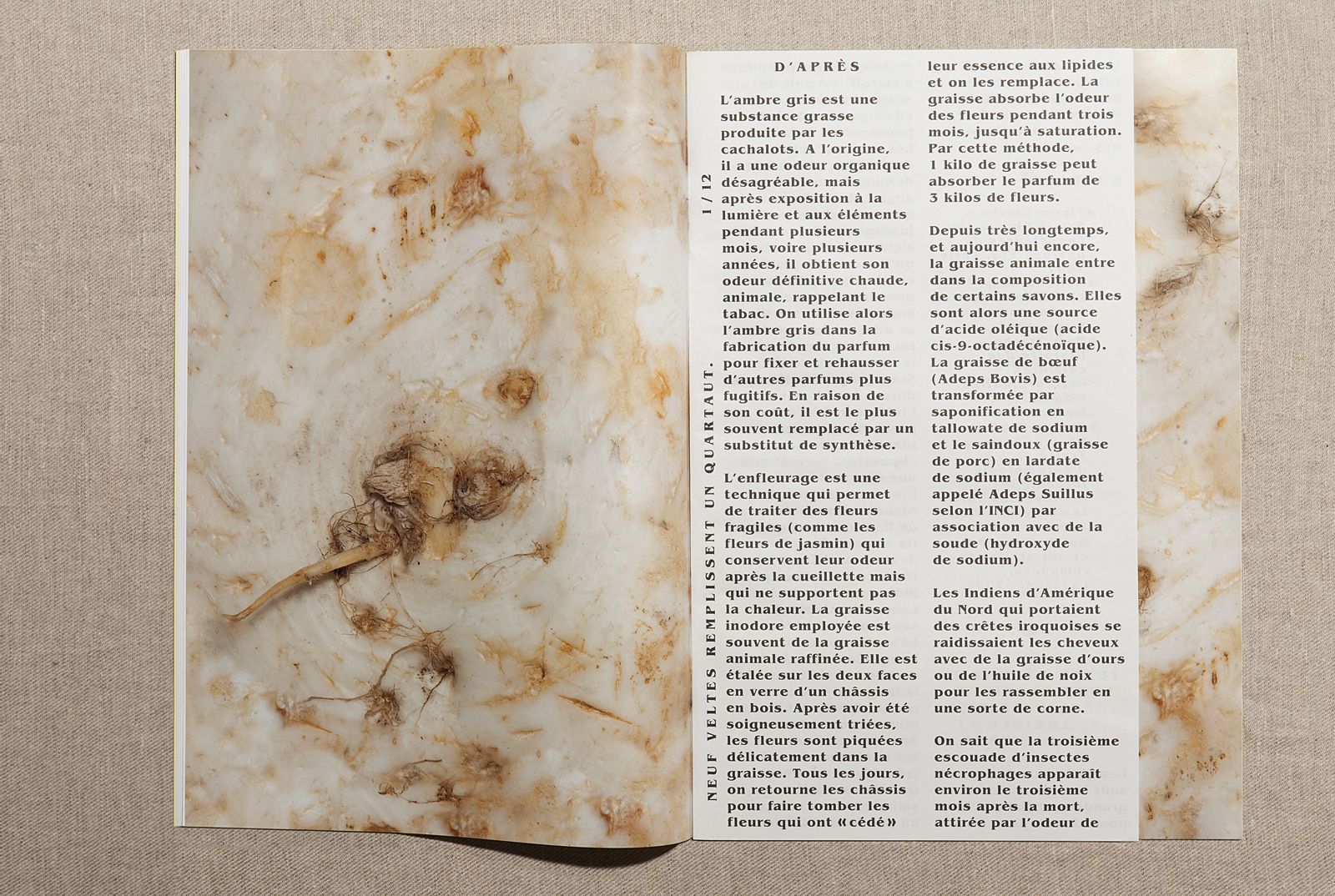 'Neuf veltes remplissent un quartaut'