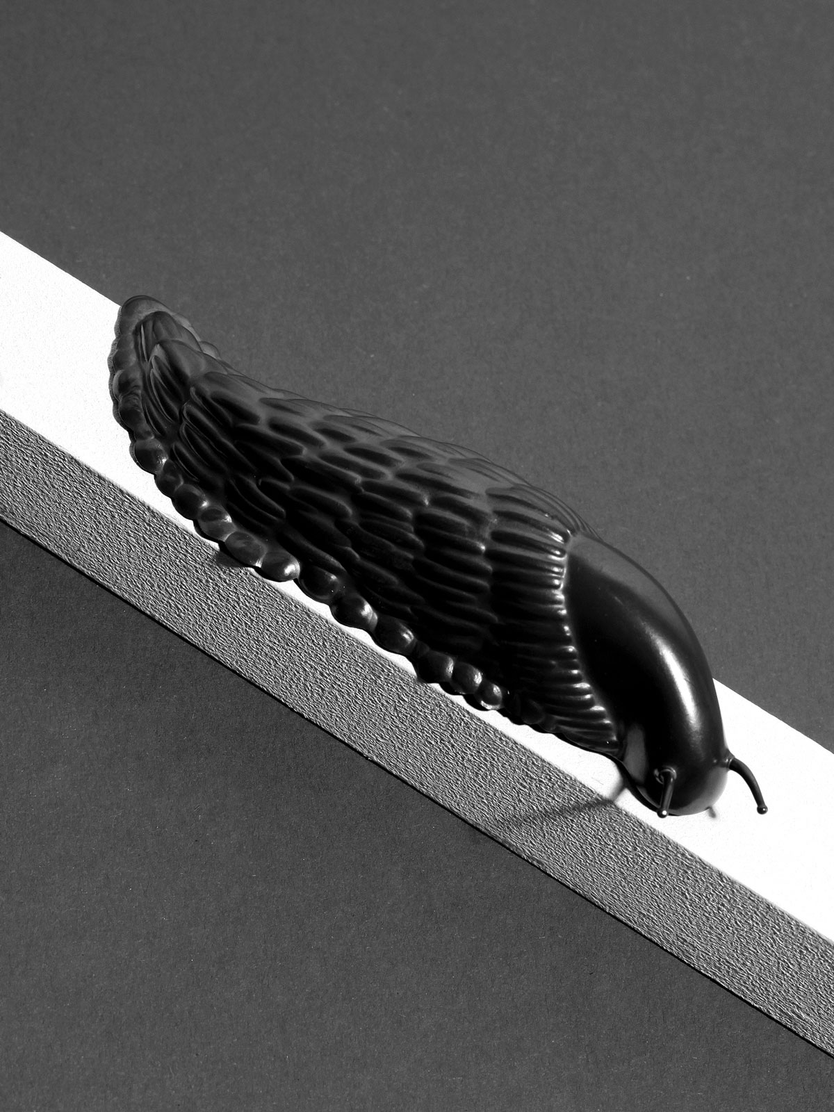 Slug (brooch), 2004