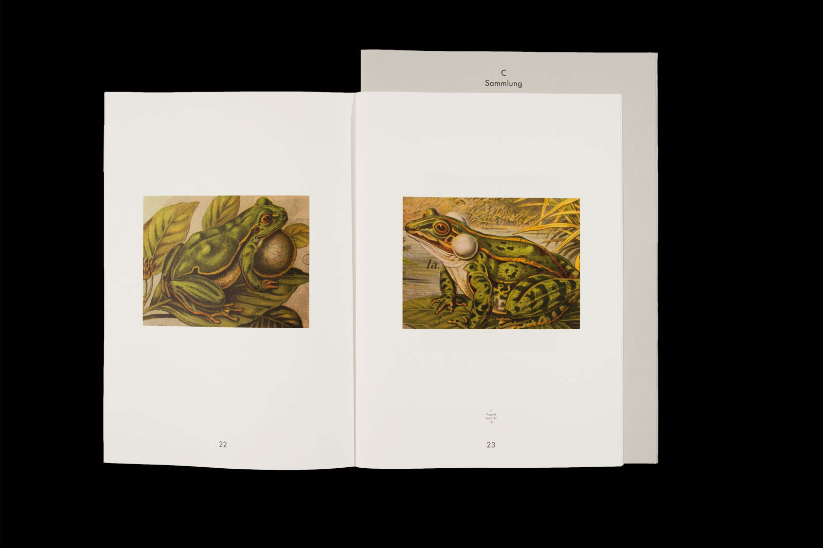 'Das Schulwandbild von gestern', publication